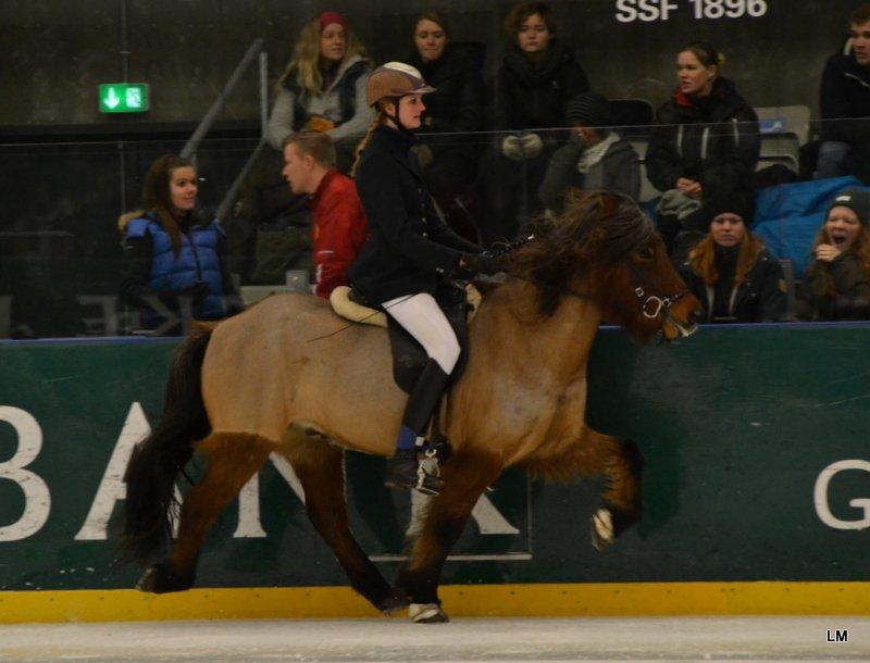 Islænder SOLFÉGUR HEJELTE - Istölt 2012 billede 12