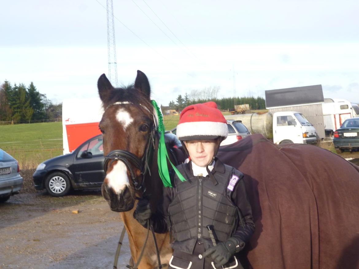 New Forest Lucas lånepony :) <3 billede 10