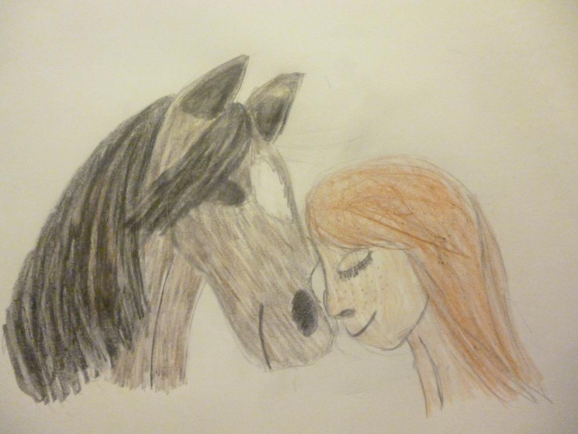 New Forest Lucas lånepony :) <3 billede 1