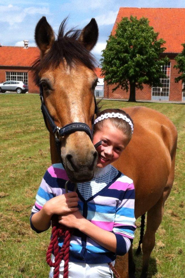 Anden særlig race Grange Sandy billede 5