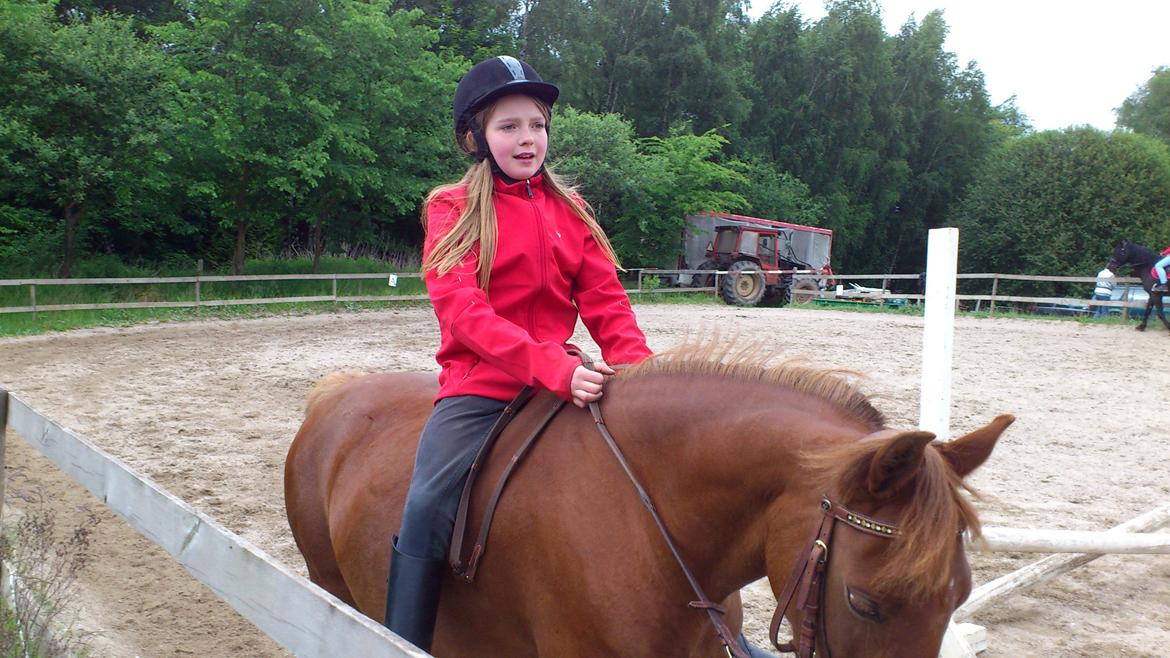 Welsh Pony (sec B) Låddenhøjs Nurit - Min glade søster på søøøde Nurit. billede 18