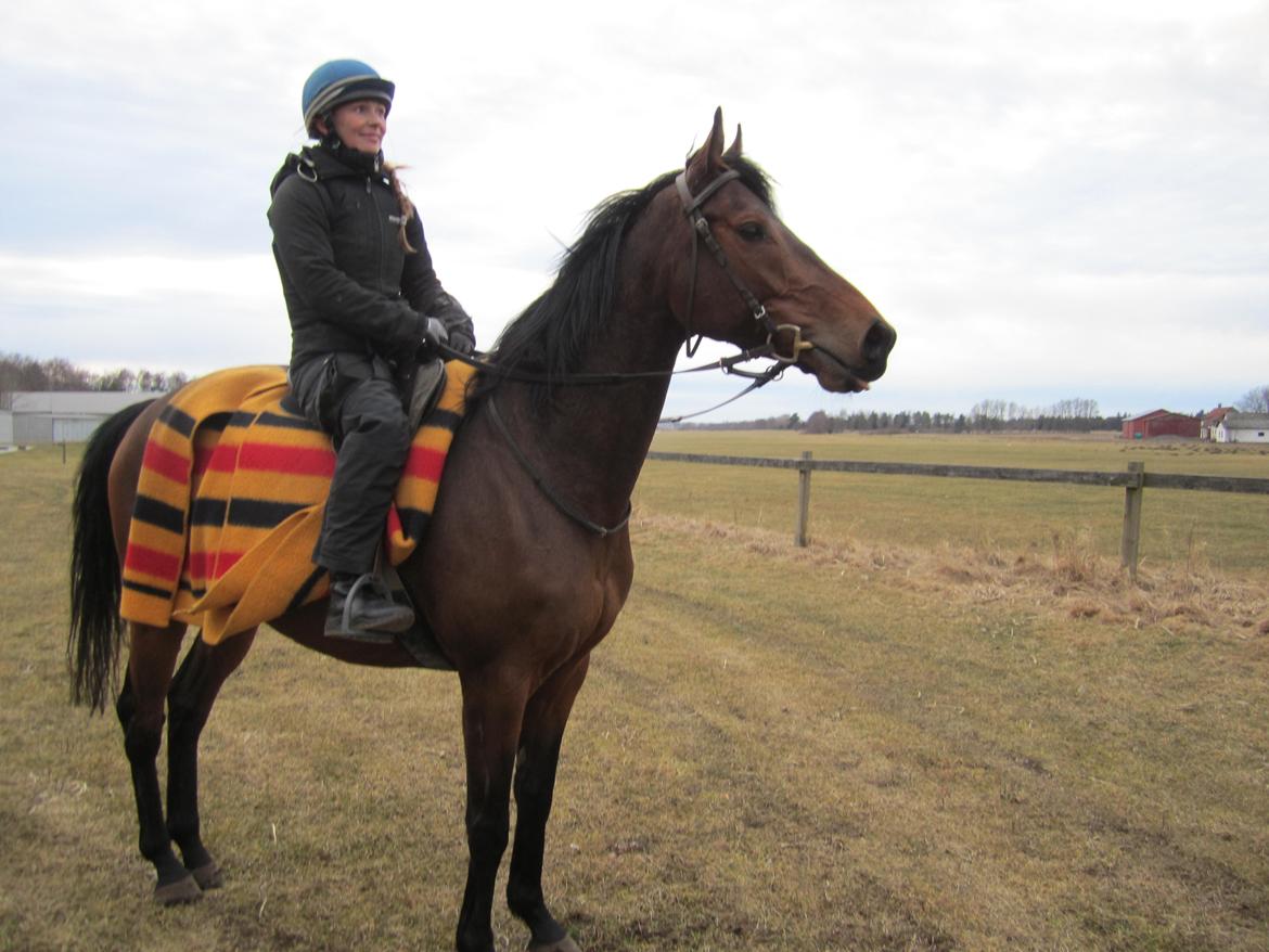 Fuldblod (XX) Fuego(Futte) - Vintertræning billede 13