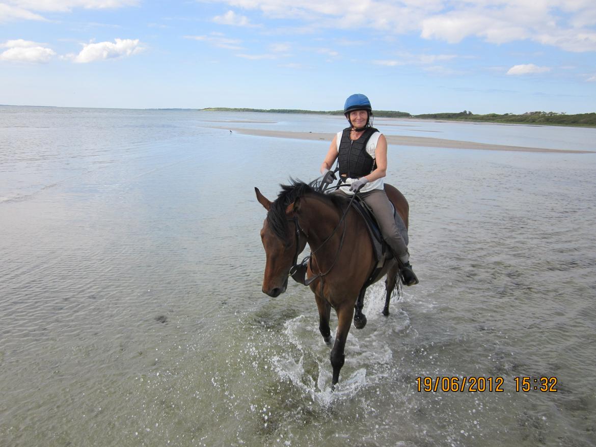 Fuldblod (XX) Fuego(Futte) - Elsker vandet <3 billede 14