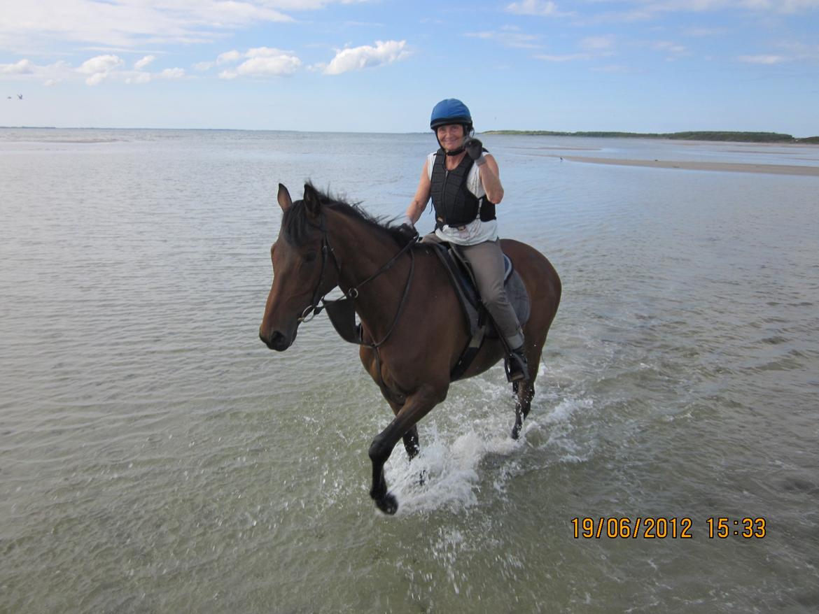 Fuldblod (XX) Fuego(Futte) - Min mor rider ham. Stort! billede 16