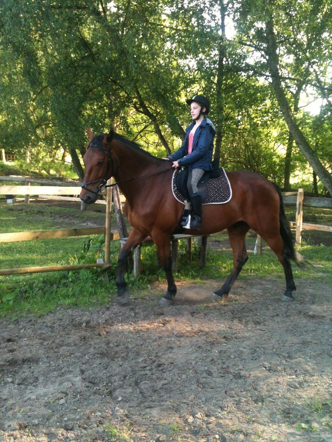 Traver Magic one billede 2