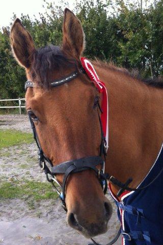 DSP Margo Lux - <3 billede 1
