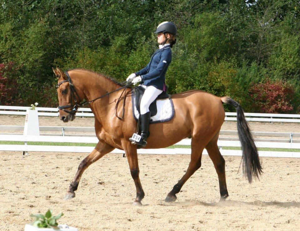 DSP Margo Lux billede 12