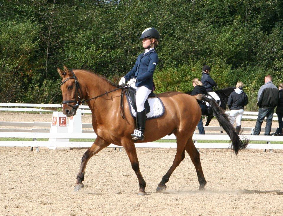 DSP Margo Lux billede 13