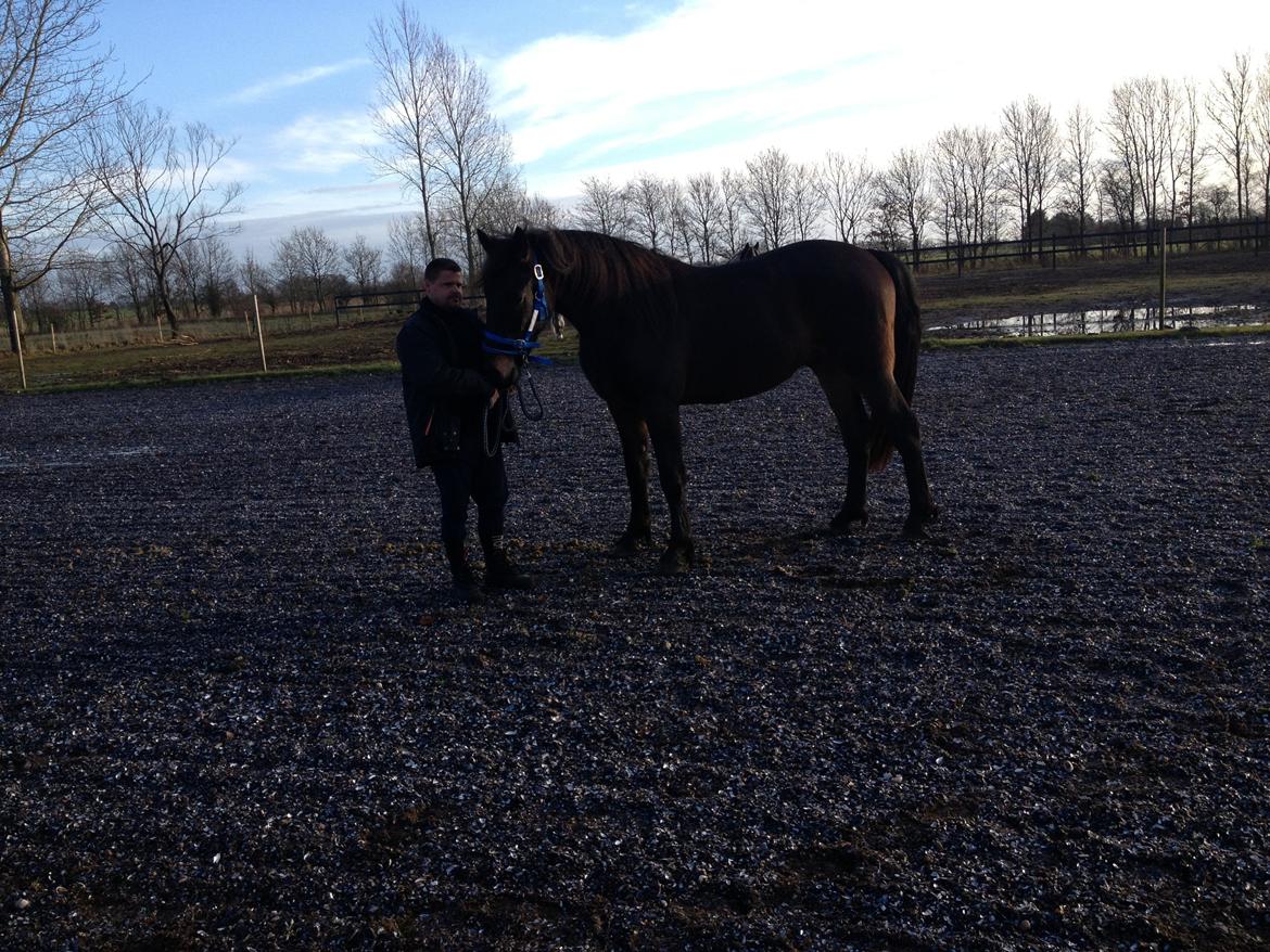 Anden særlig race thor billede 2