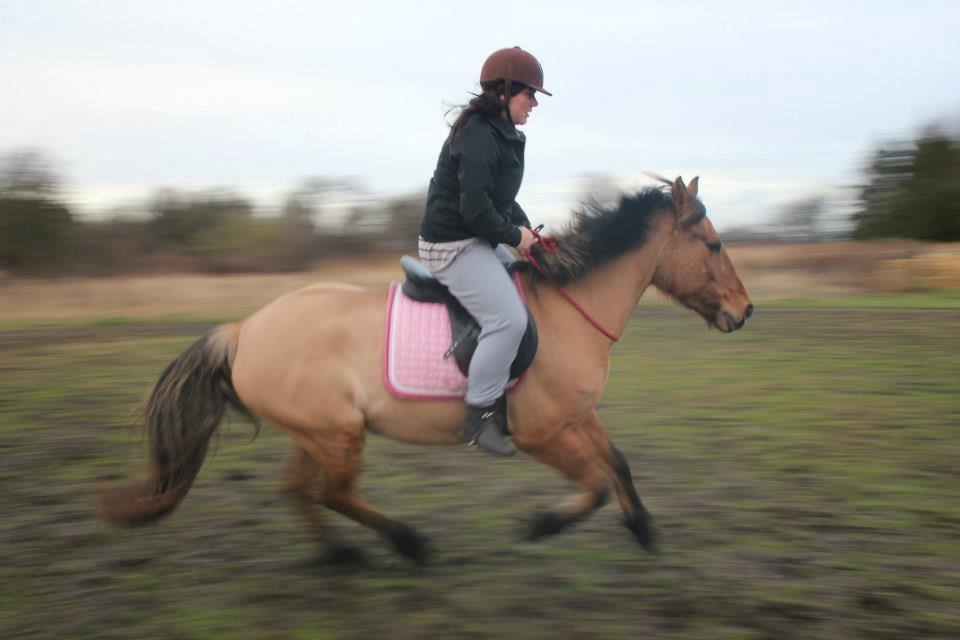 Anden særlig race lady<3 billede 17