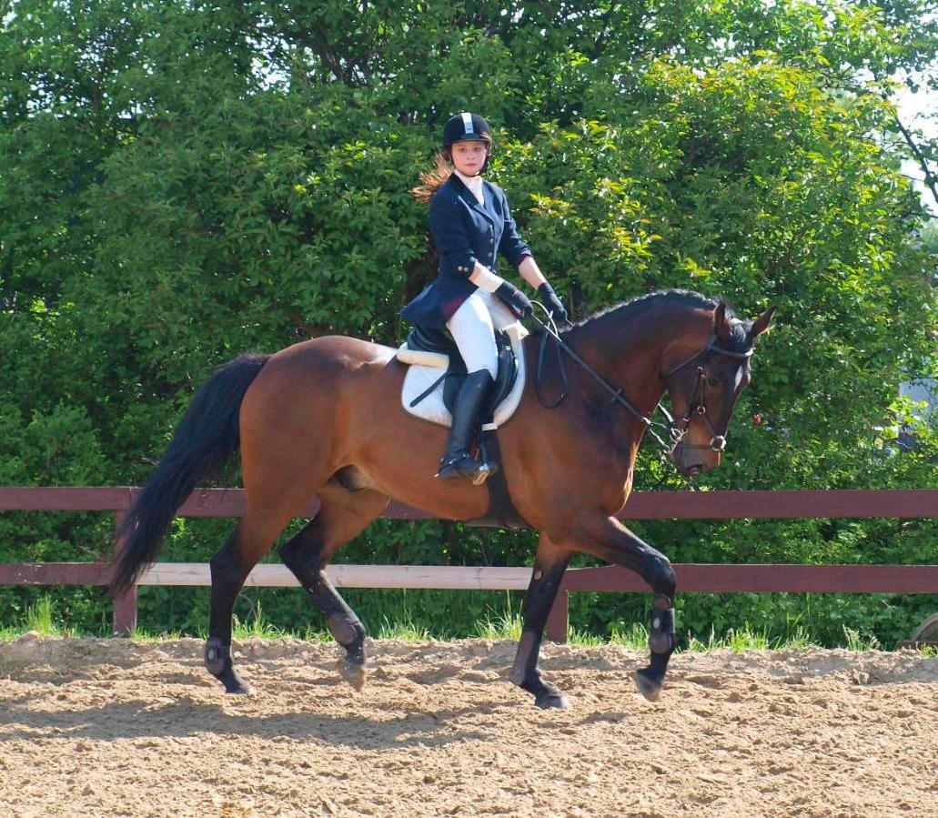 Anden særlig race Spangbogaards Felix [Redet] billede 11