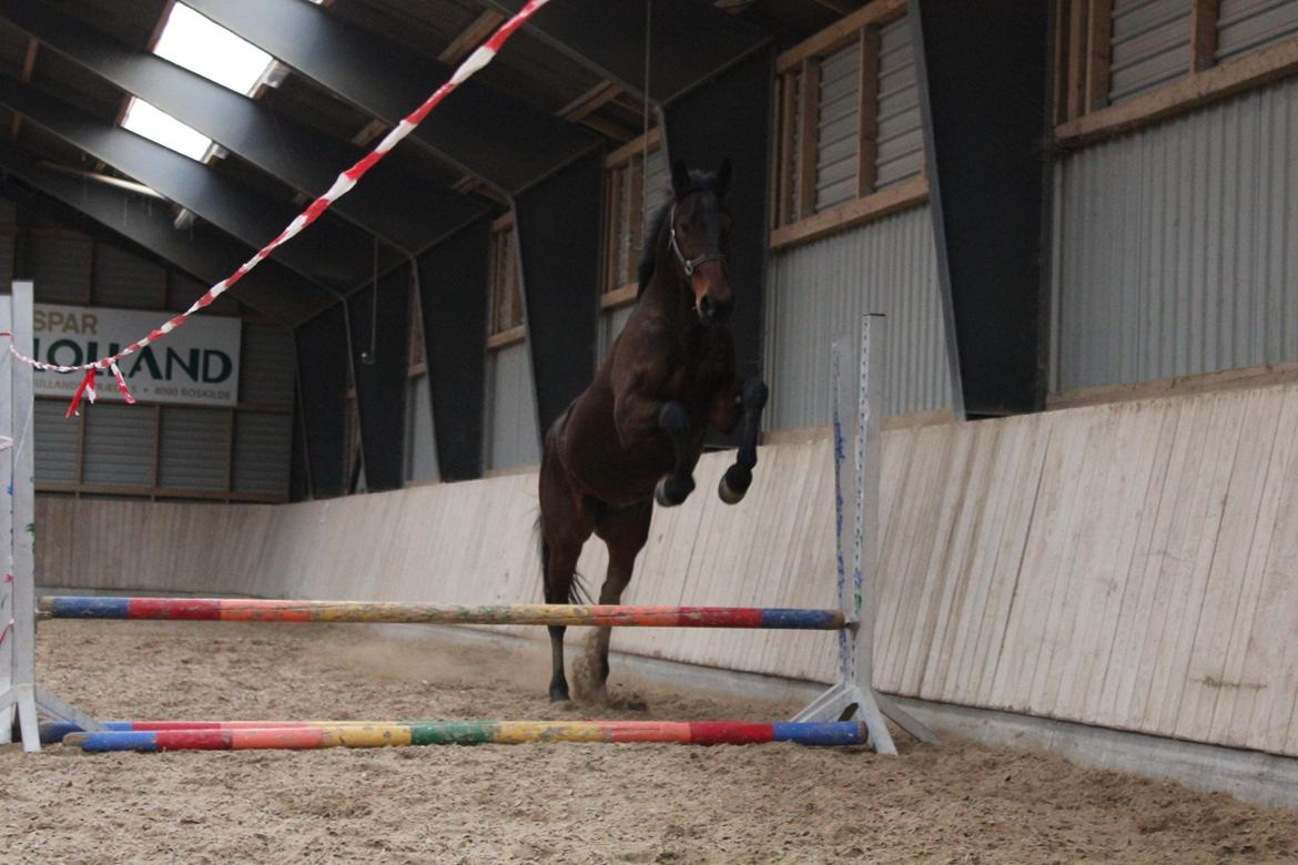 Traver Le Mans - spriiing <3 billede 17