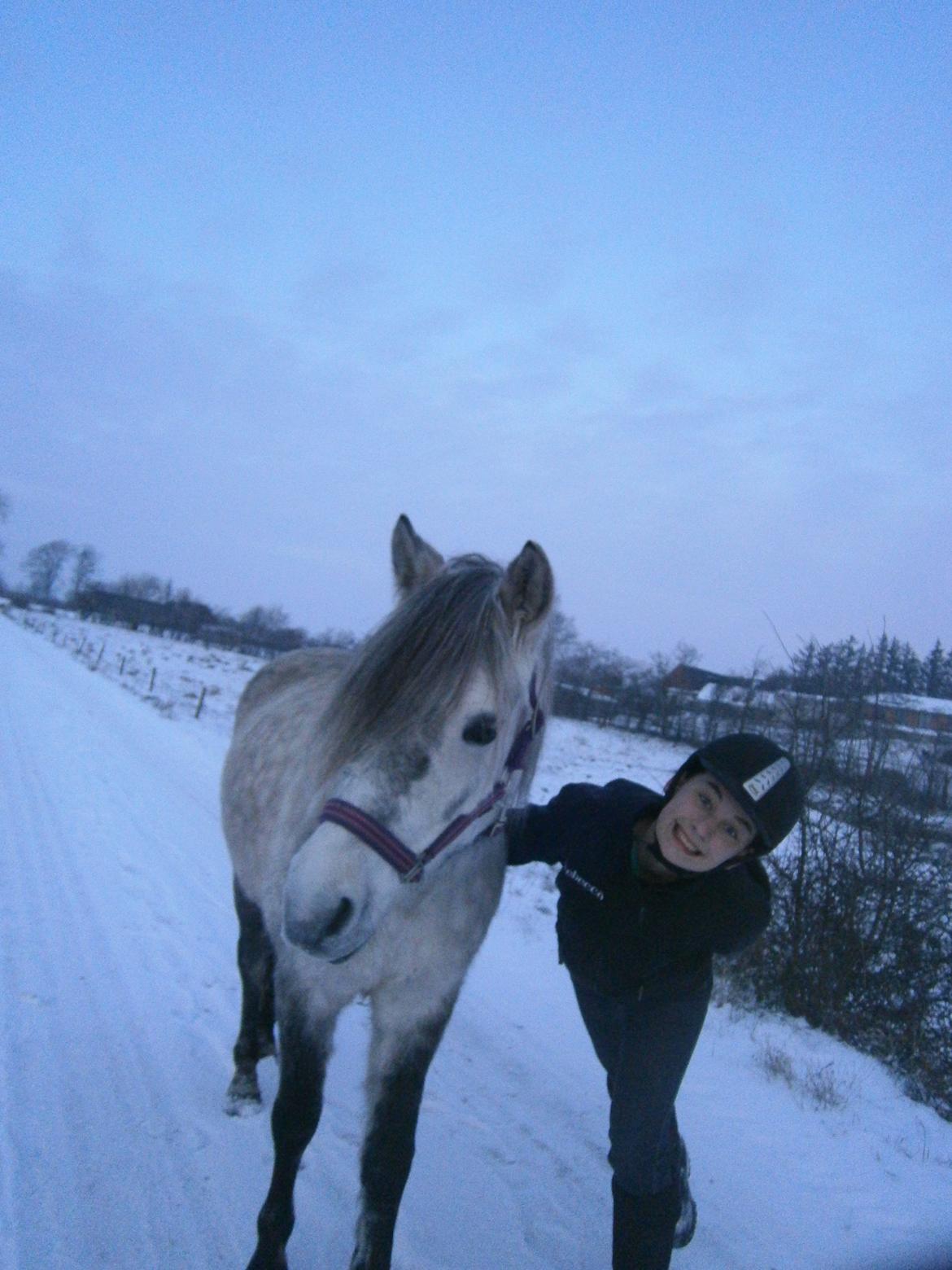 Anden særlig race Sigge - Only Crazy People Have Fun!
Foto: Emma C billede 18