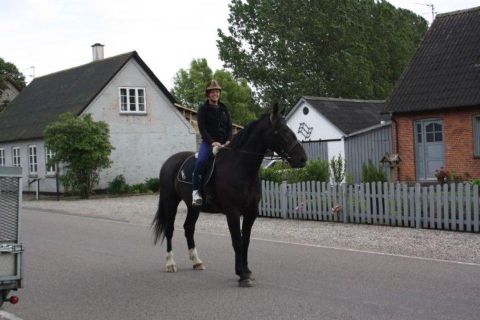 Oldenborg Gelique - Rider for første gang tur - så cool! billede 6