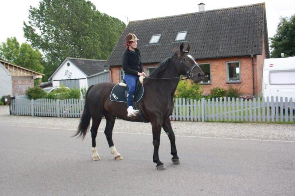 Oldenborg Gelique - Hehe, Gelle har ballade i øjnene :D billede 7