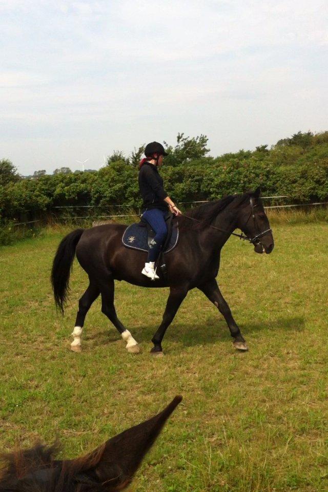 Oldenborg Gelique - Billede taget fra videoklip billede 8