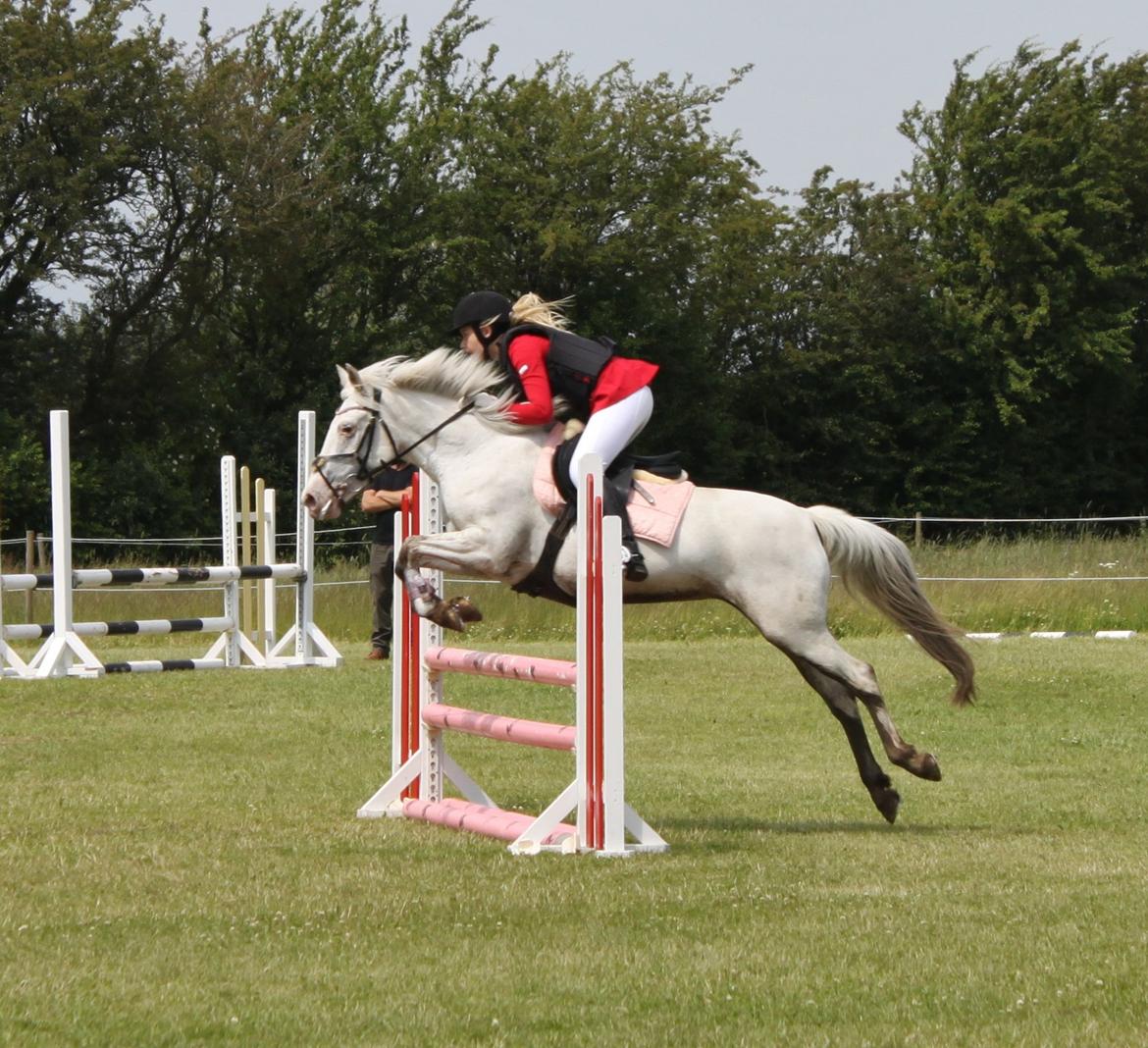 Anden særlig race Jasmine (Snuske) billede 16