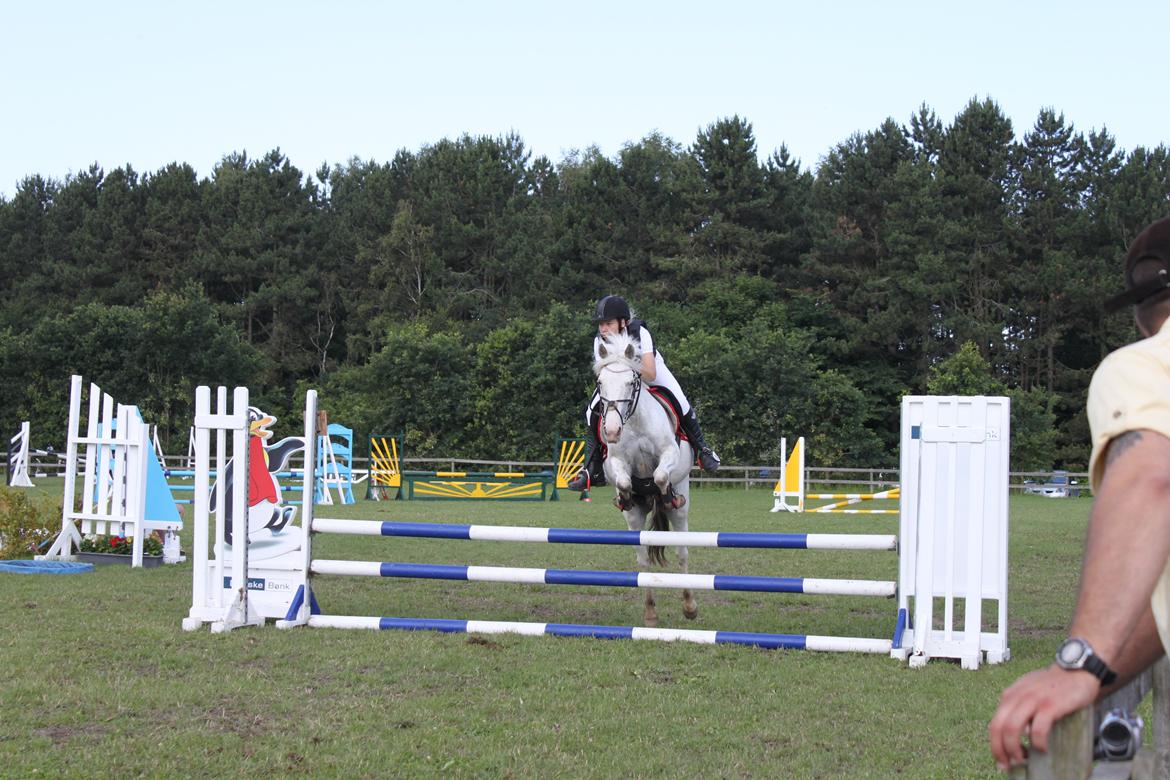 Anden særlig race Jasmine (Snuske) billede 18