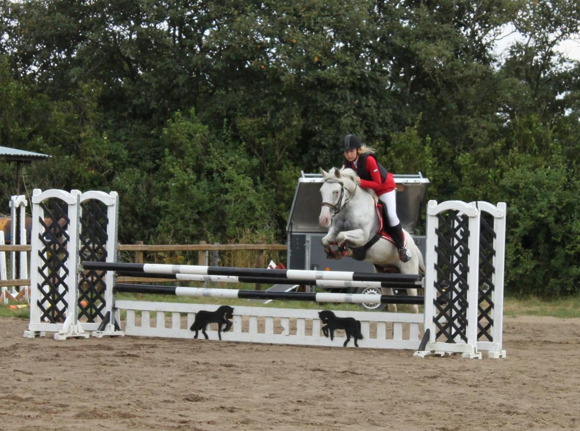 Anden særlig race Jasmine (Snuske) billede 20