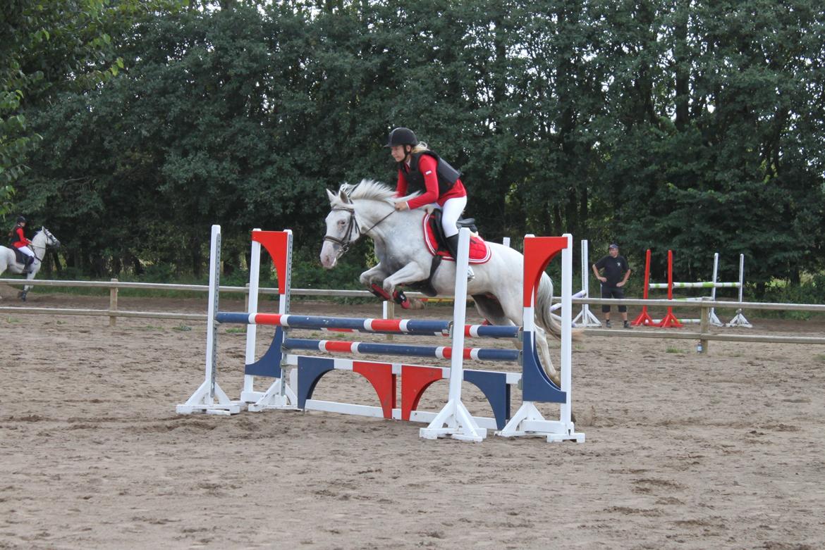 Anden særlig race Jasmine (Snuske) billede 21