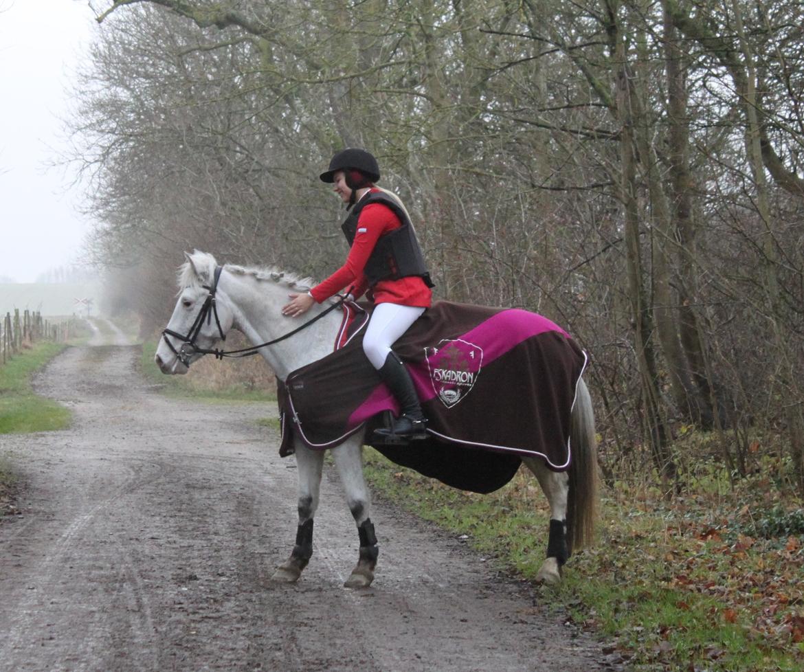 Anden særlig race Jasmine (Snuske) billede 6