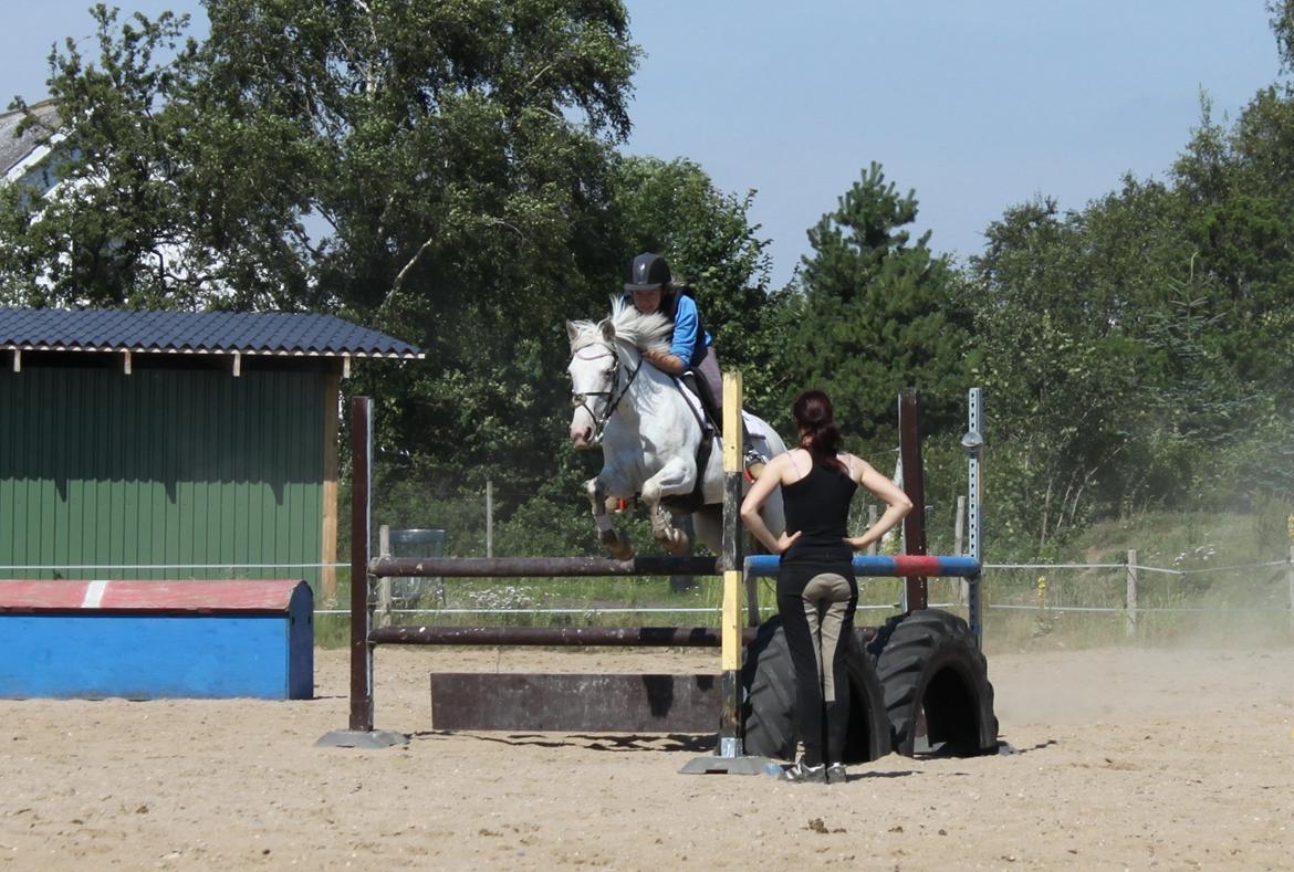 Anden særlig race Jasmine (Snuske) billede 24