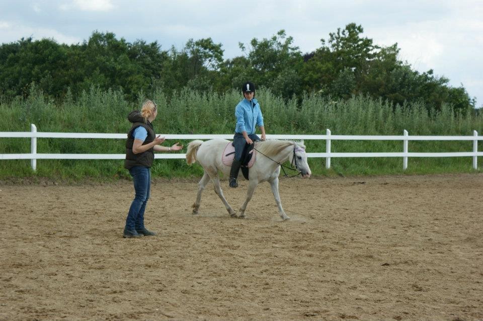 Anden særlig race Savannah billede 18