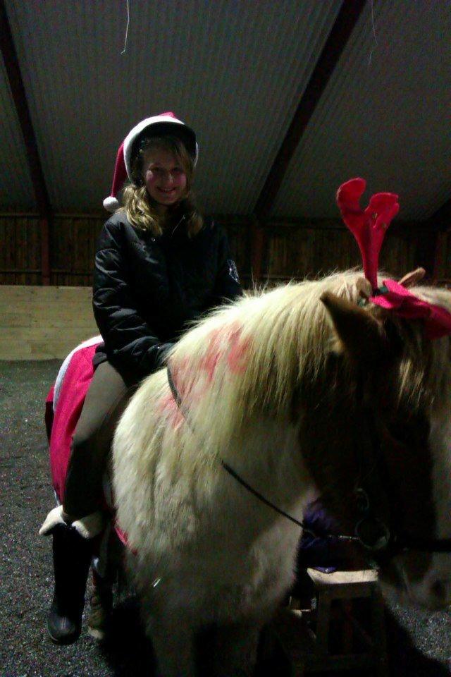 Islænder Girdir - Girdir og jeg til juleafslutning på stutteri Amhøj Girdir som rudolf billede 2