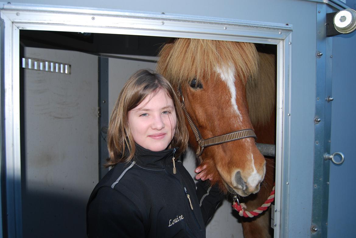 Islænder Gladur fra Hjardal - Velkommen til gladur`s profil ;) tag jer ikke af mig ;) men kig på hesten  billede 1