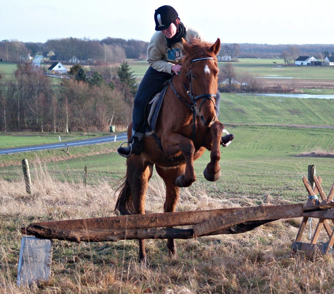 Anden særlig race Sheffield *min Baby*<3 - „One day I woke up and realized something. I would never be the same without my friends. They are my everything and I'm not even sure that they know how much they've done to me...“ billede 9