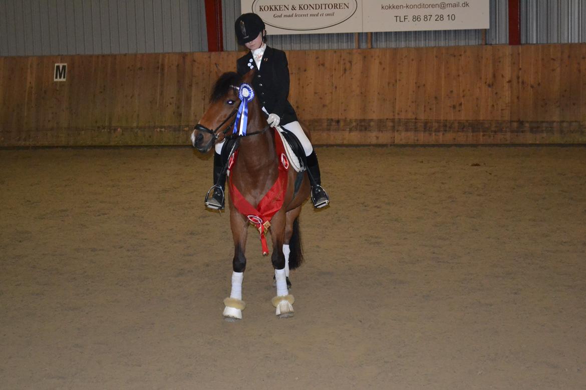 DSP Bæklunds Anizette - Vandt cuppen i Dressur til GER Nytårs stævne vandt også en rød roset!:D Elsker dig Zettemus<33 billede 16
