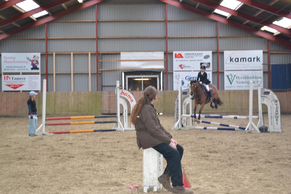 DSP Bæklunds Anizette - første spring stævne sprang 60 cm blev disket i denne bane p.g.a at hun stoppede 3 gange men det var min skyld sprang også 70 cm men har desværre ingen billeder af det men kom fejlfri gemmen hovedrunden og fejlfri i omspringningen;D 
Elsker dig Zettemus<3 billede 17