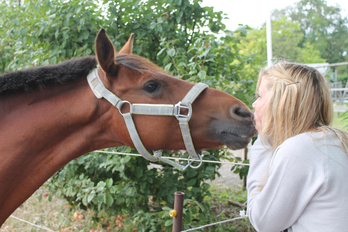 Anden særlig race Timon - Give me a kiss baby <3 billede 12