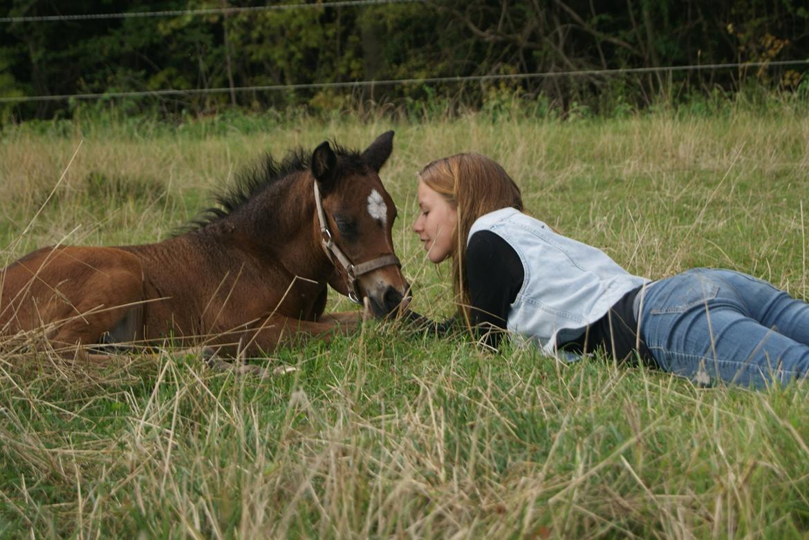 Anden særlig race Blue Eye Surprice ( følle)!" billede 5