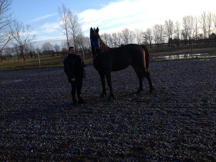 {{currentPhoto.altText}} billede {{currentPhoto.number}}