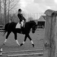 Anden særlig race Zizanie