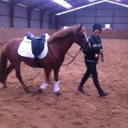 DSP Amanda Af Bakholm