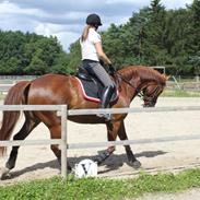 Anden særlig race Skywalker