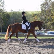 Anden særlig race Skywalker