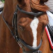 Anden særlig race Skywalker