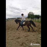 Anden særlig race Nordvangs Oliver.