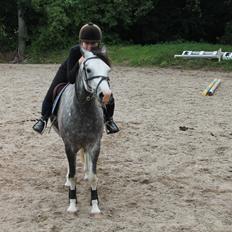 DSP Lundehuset's Helios