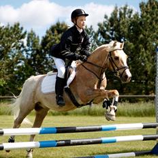 Anden særlig race Jerry. *SOLGT*