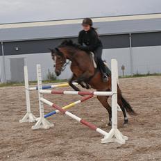 DSP | Elmelys Lady Ruwena