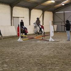 Anden særlig race Vestergårds FILUR<3 (MY LOVE)