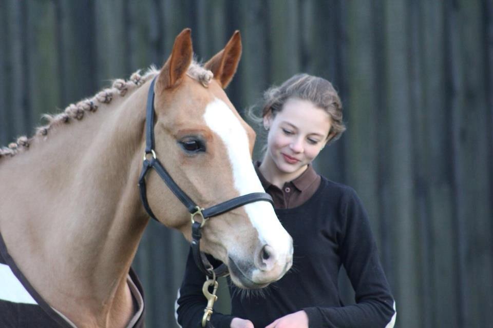 Tysk Sportspony Thorup's Gold Star - Billeder til min konfirmation indbydelser..<3 billede 4