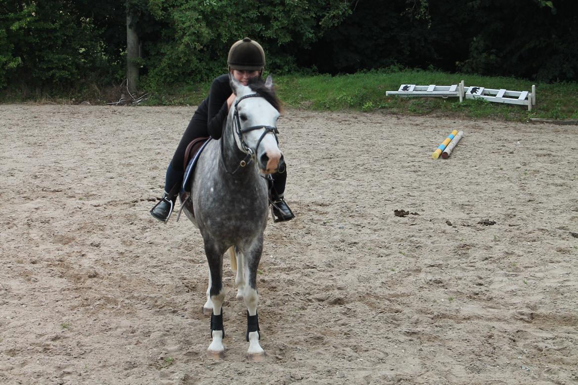 DSP Lundehuset's Helios billede 1