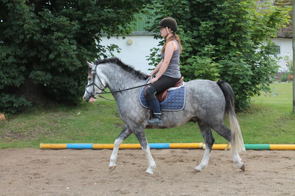 DSP Lundehuset's Helios - sommer 2012 billede 16