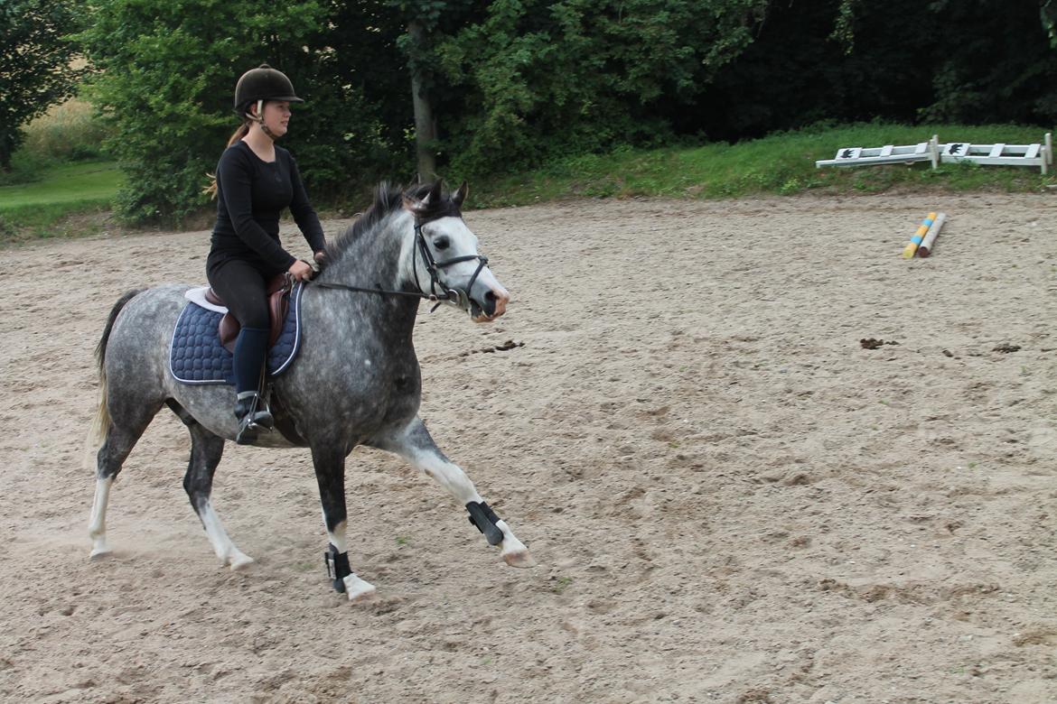 DSP Lundehuset's Helios - sommer 2012 billede 17