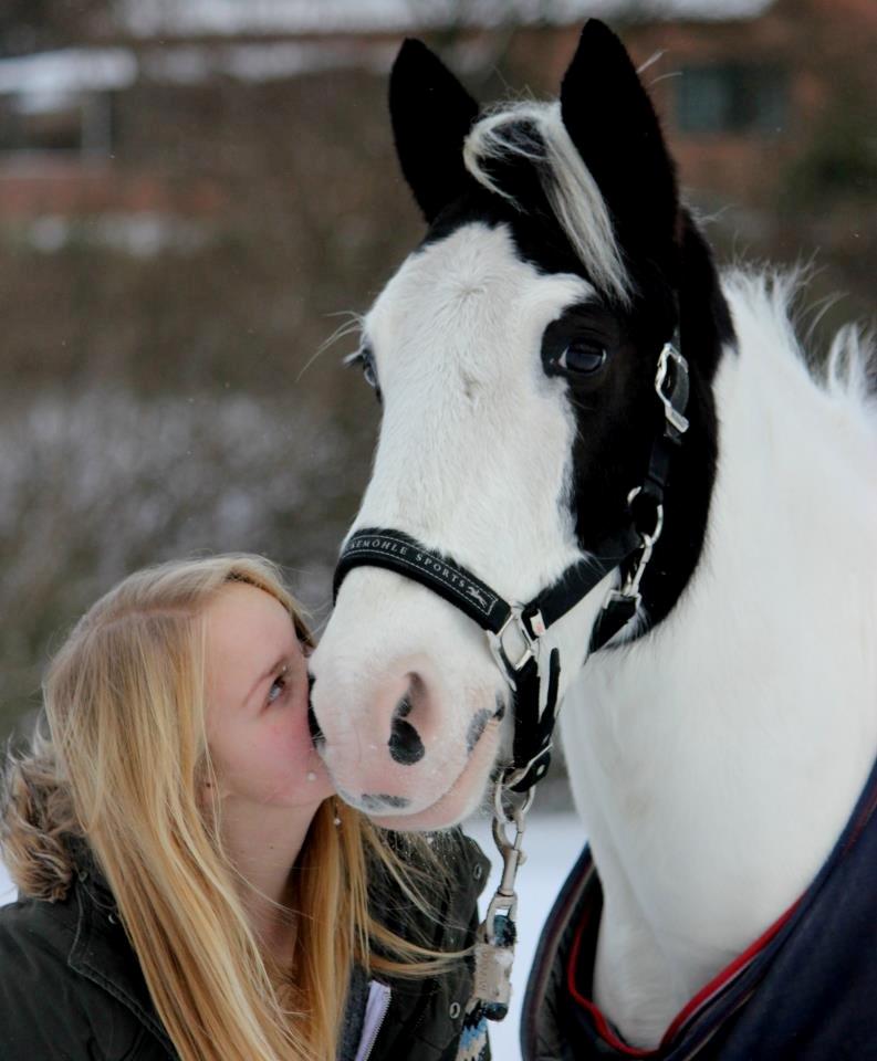 Irsk Sportspony Bobby - Velkommen til Bobby's profil! Jeg kan ikke andet end at elske dig! <3 <3 Vinter 2012  billede 1